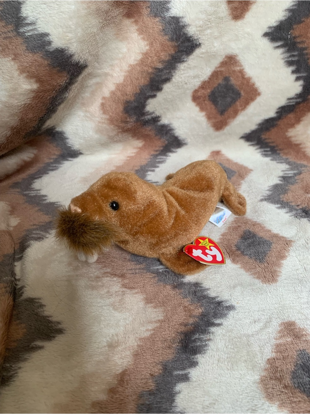 Ty Beanie Baby PAUL the Brown Walrus (7 Inch) Stuffed Animal Plush Toy